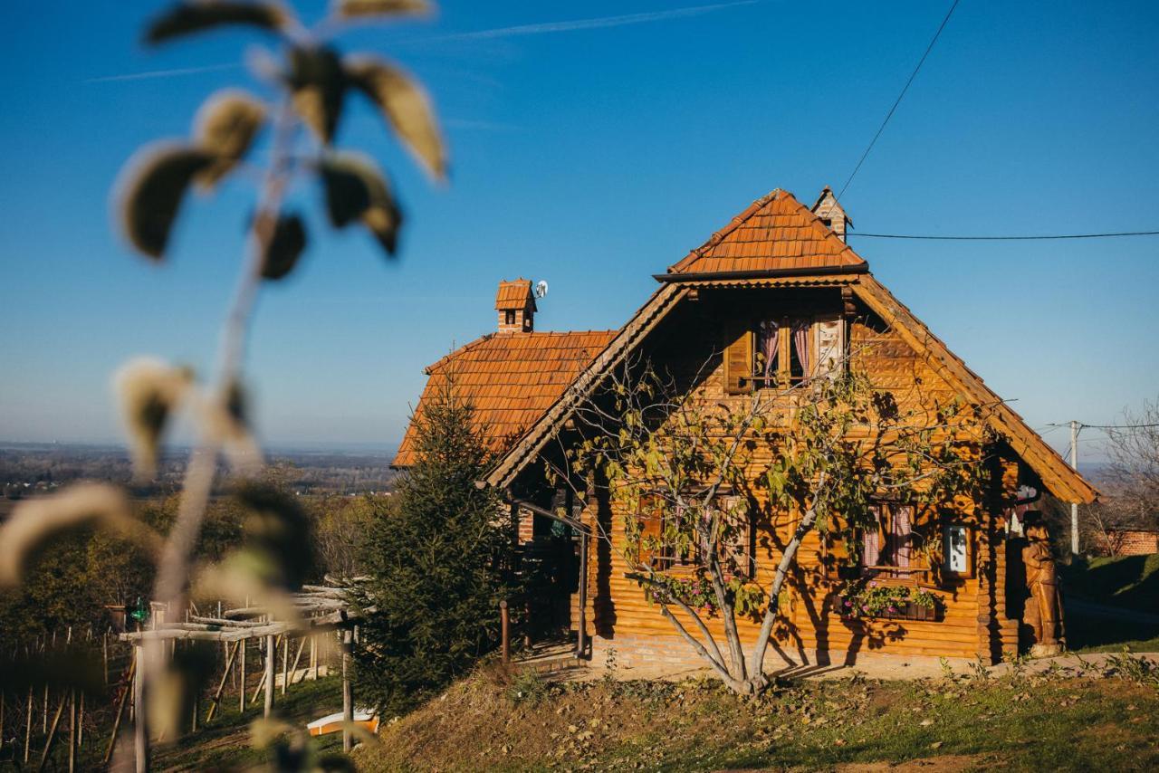 Holiday Home Wine & Relax Sveti Martin Na Muri Gornji Koncovcak Exterior foto